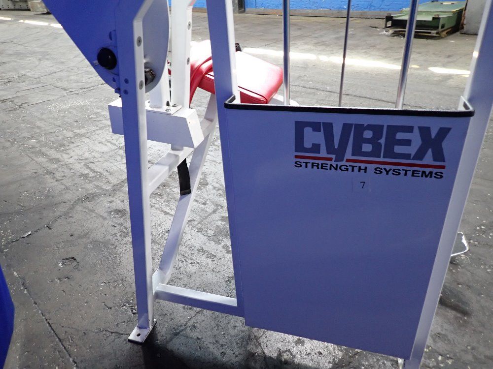 Cybex Back Extension Exercise Machine - 4205