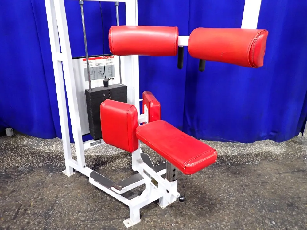 Cybex Rotary Torso Exercise Machine - 4201
