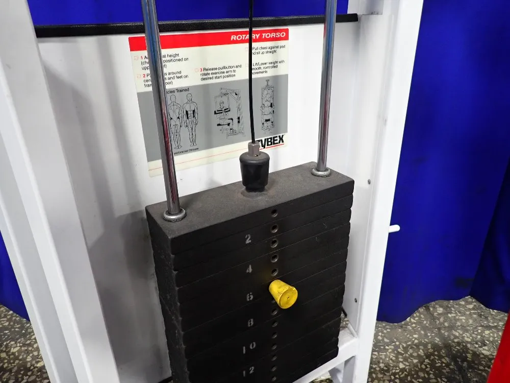 Cybex Rotary Torso Exercise Machine - 4201