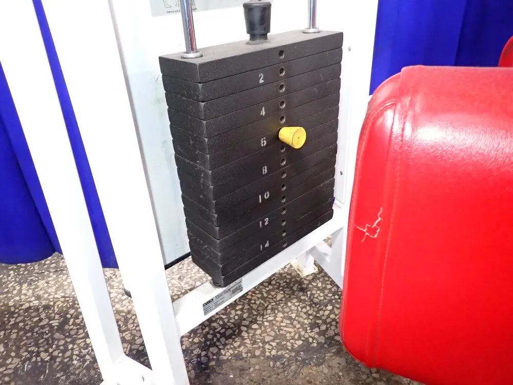 Cybex Rotary Torso Exercise Machine - 4201