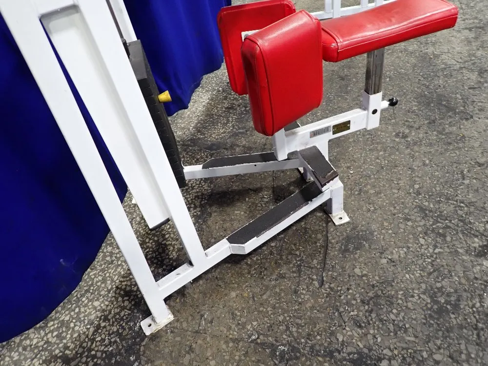 Cybex Rotary Torso Exercise Machine - 4201