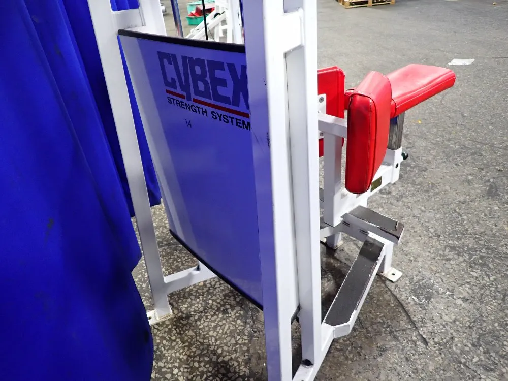 Cybex Rotary Torso Exercise Machine - 4201