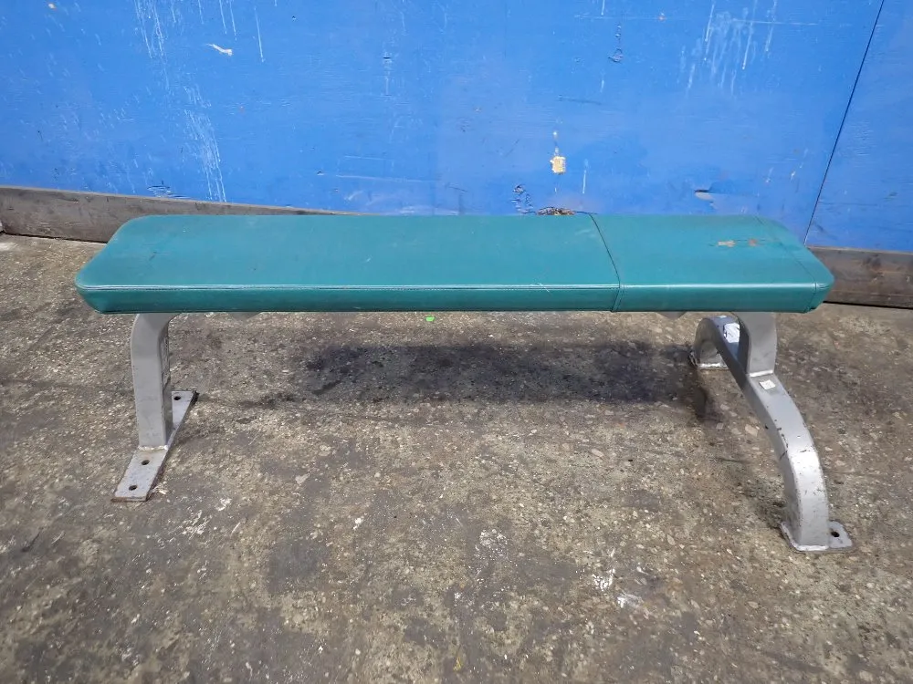 Cybex 10" X 45 1/2" Bench