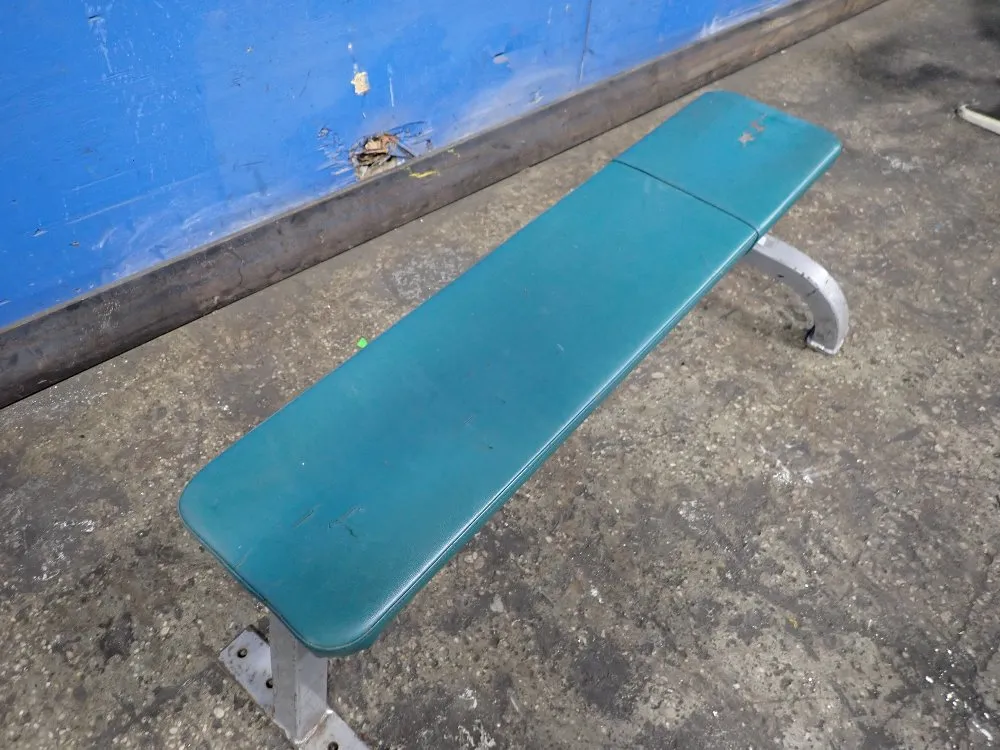 Cybex 10" X 45 1/2" Bench