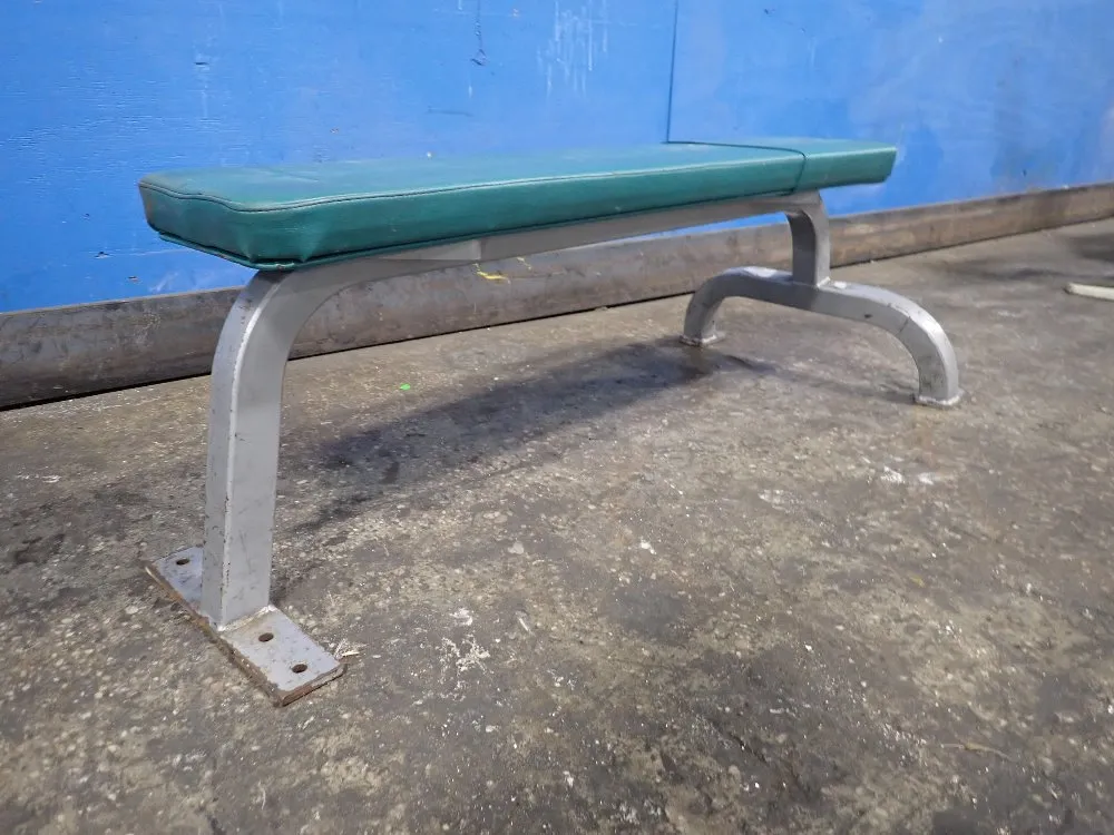 Cybex 10" X 45 1/2" Bench