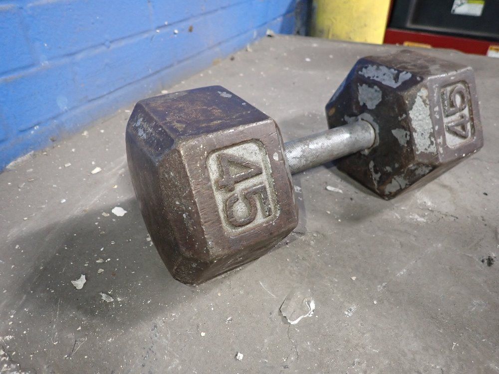 45 Lbs Dumbell
