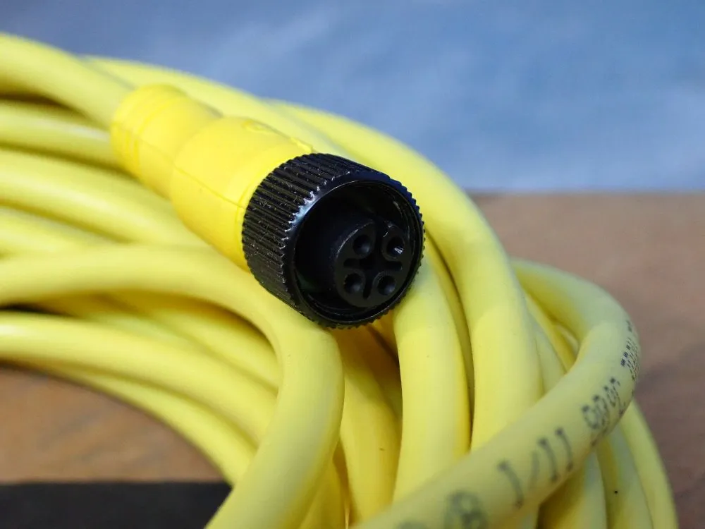 Allen Bradley 4 Pin Dc Micro Cord Set - 889d-f4acdm-15