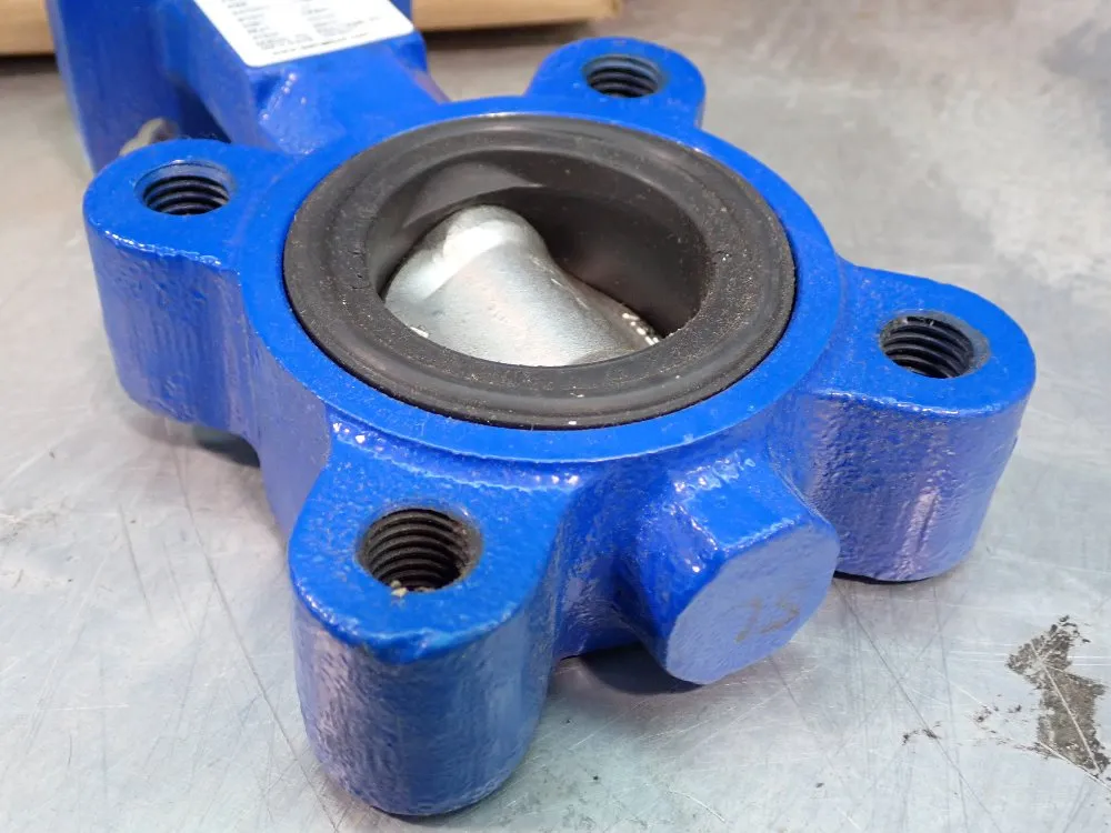 Delval 2" Valve - 52020141v1b0