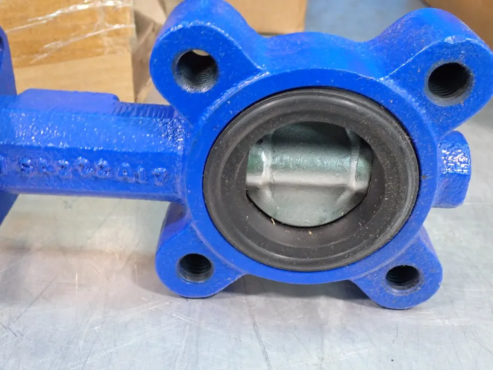 Delval 2" Valve - 52020141v1b0