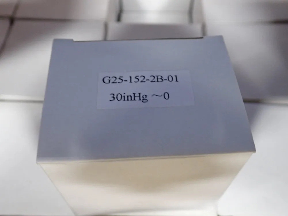 Acutek Pressure Gauge - G25-152-2b-01