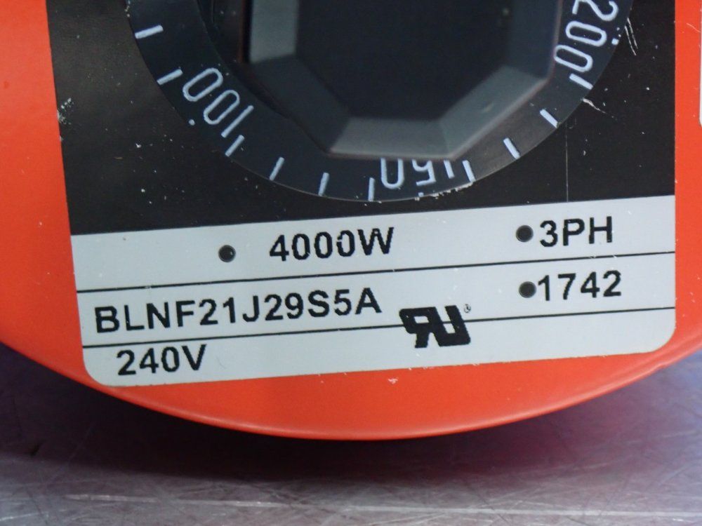 Watlow Screw Plug Direct Immersion Heater - Blnf21j29s5a