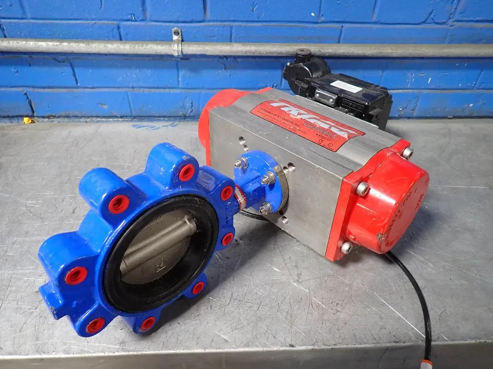 Triac 4" Valve Actuator With Positioner - Epr-1000