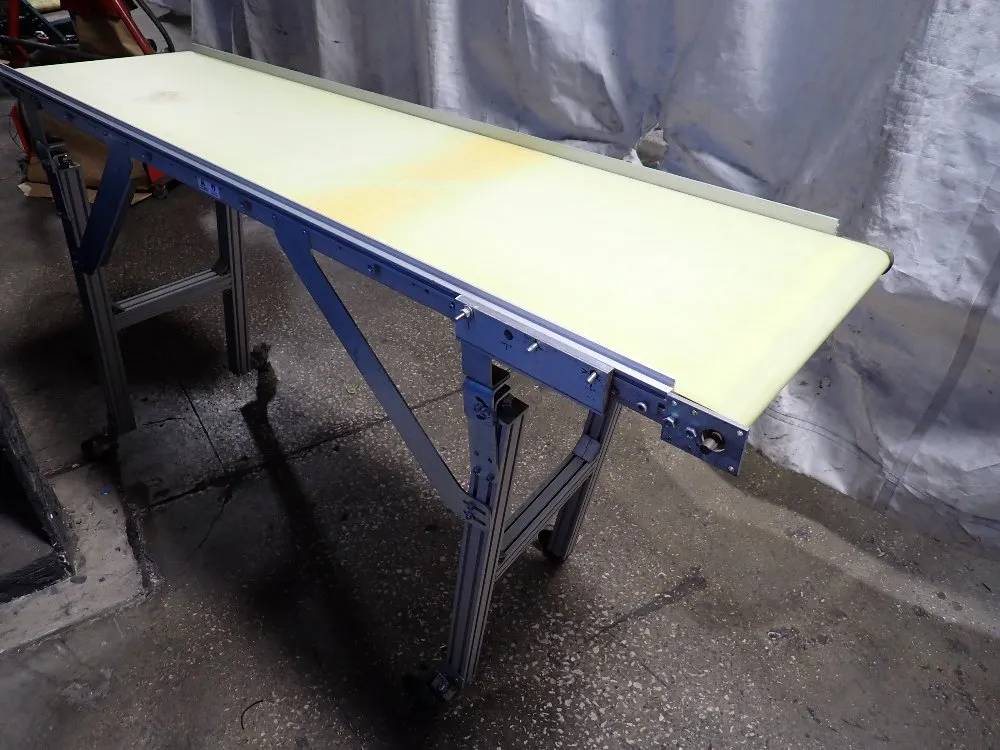 Duravant Belt Conveyor