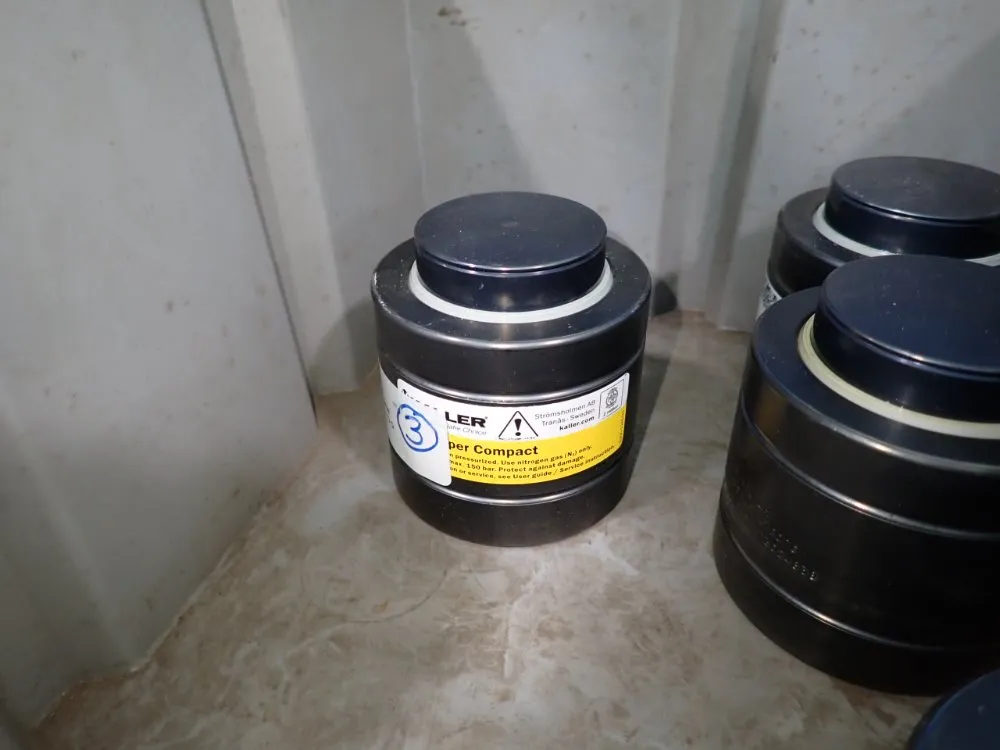 Kaller Gas Springs - 4700-10