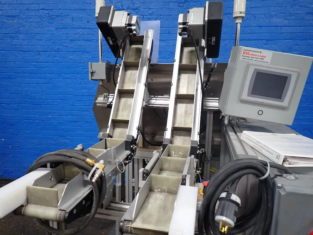 Hm Cross & Sons Bag Filling Process Conveyor