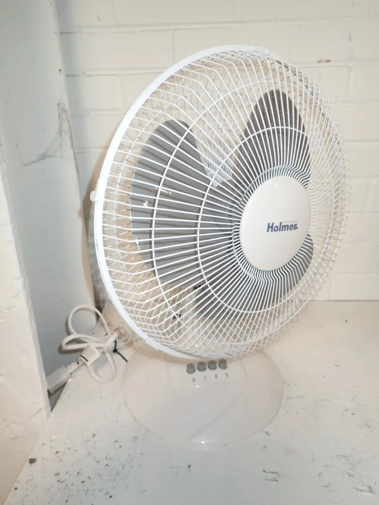 Holmes Portable Electric Desktop Fan