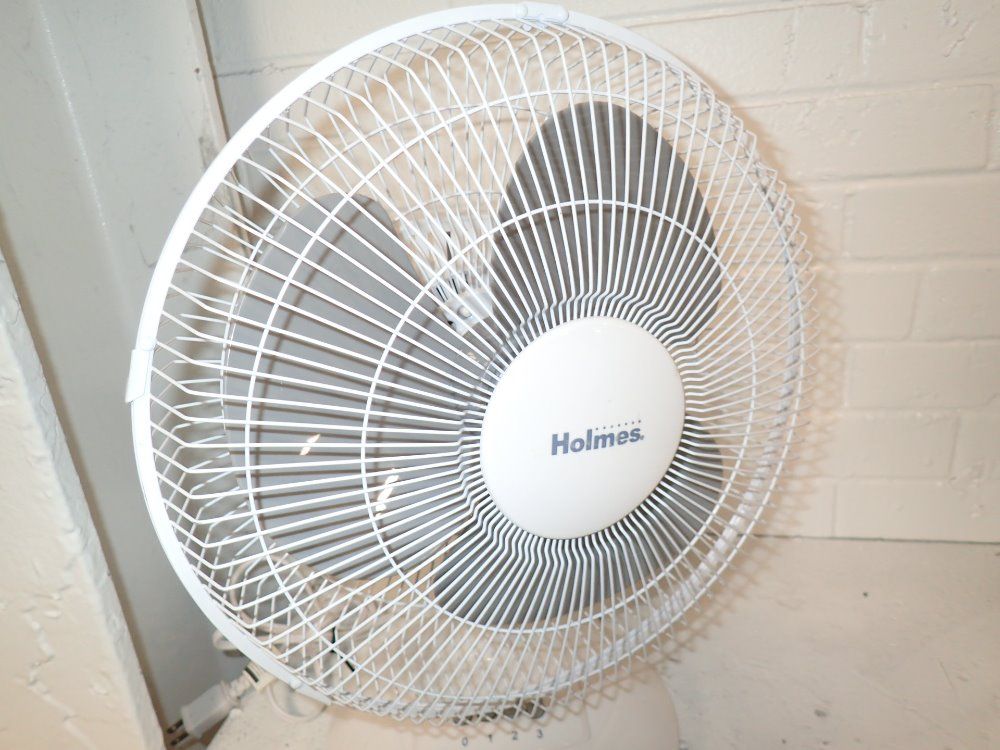 Holmes Portable Electric Desktop Fan