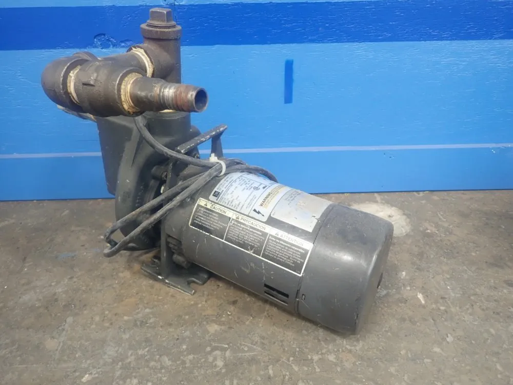 Emerson / Teel Pump