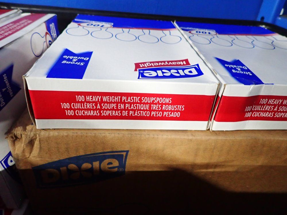 Dixie Plastic Spoon