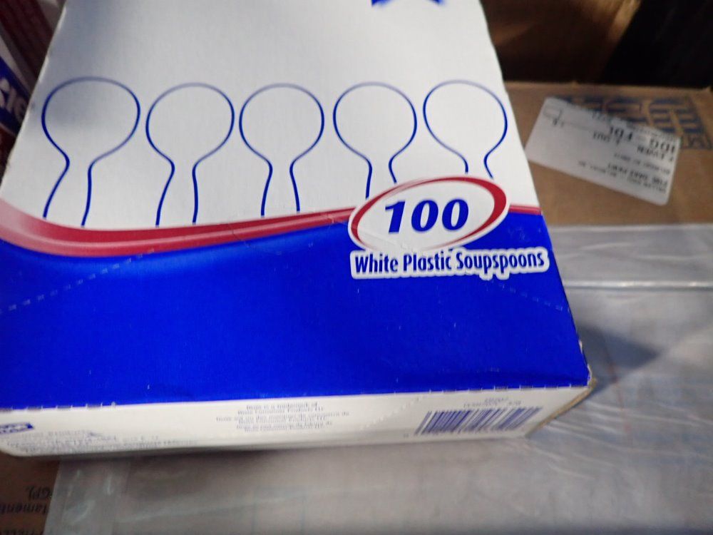 Dixie Plastic Spoon