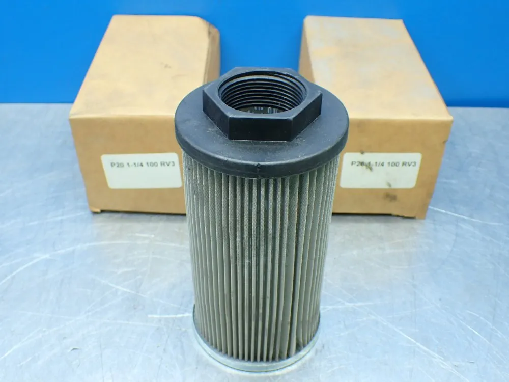 Flow Ezy 2 Suction Filters - P 20 1 1/4 100 Rv3