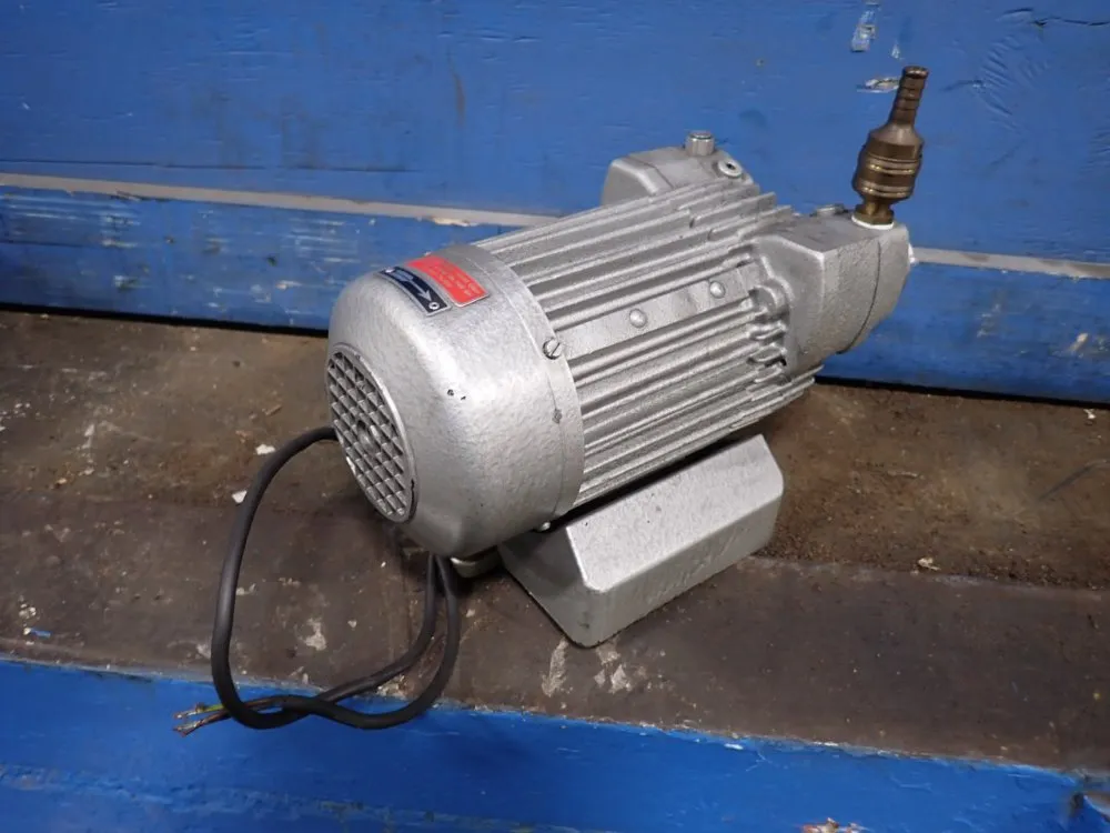 Werie 0.12 Kw Pump - Tl 2v