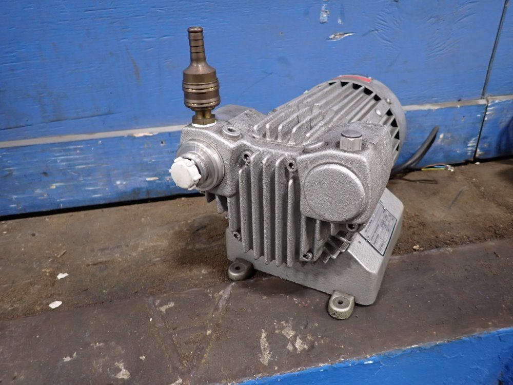 Werie 0.12 Kw Pump - Tl 2v