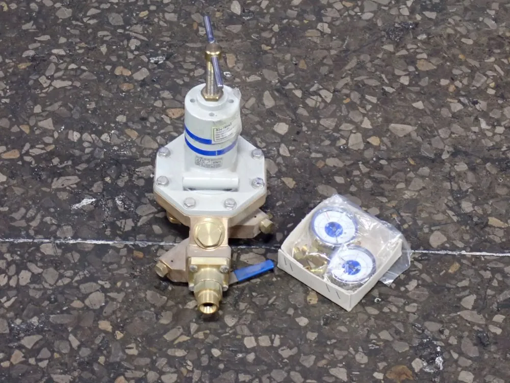 Gega Lotz Ltd Gas Control Unit