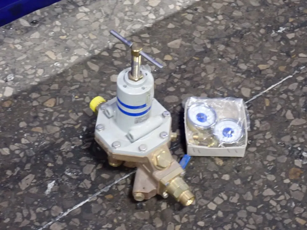 Gega Lotz Ltd Gas Control Unit