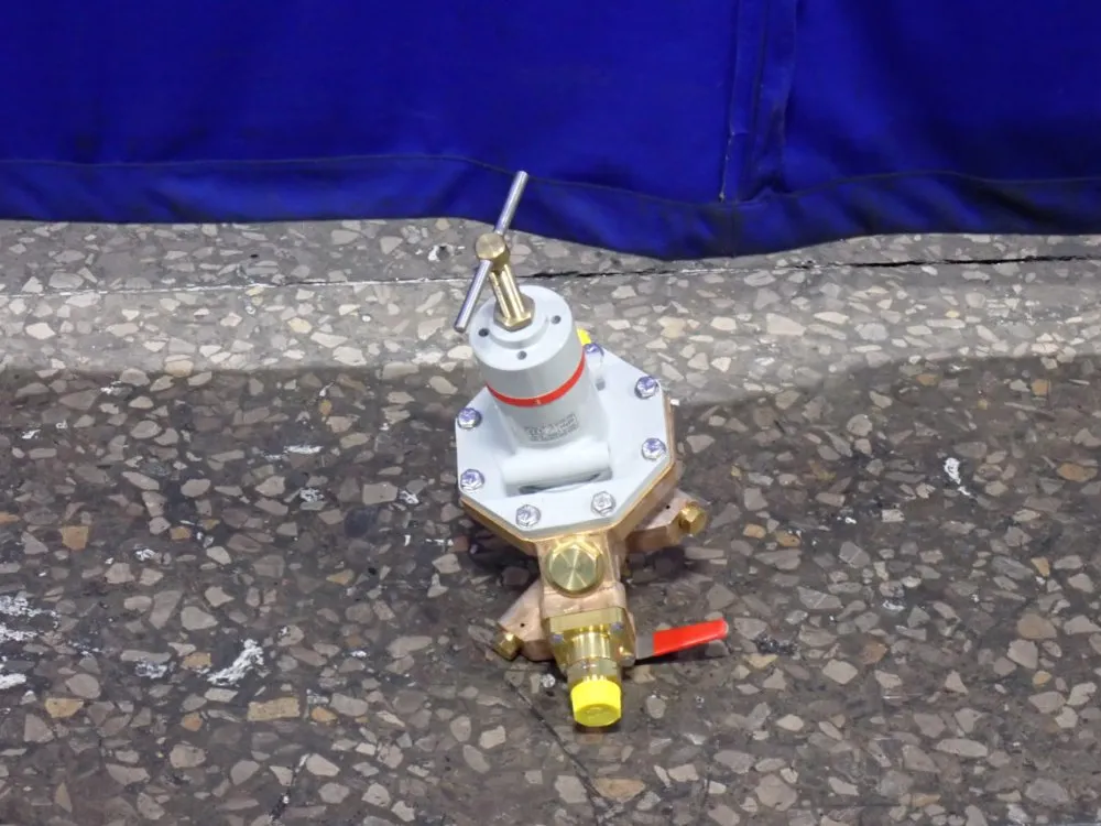 Gega Lotz Ltd Gas Control Unit