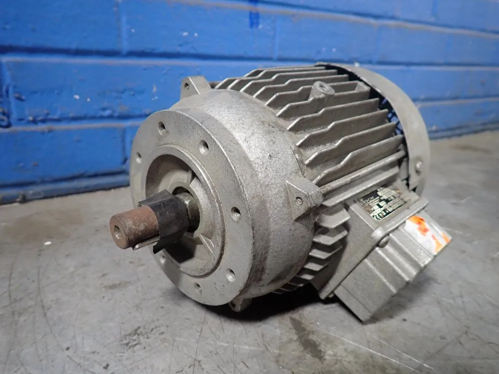 Busch 0.7 Kw Motor
