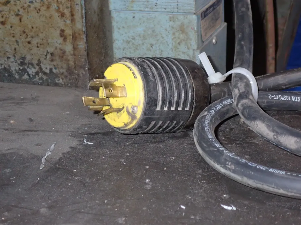 Whitney Jensen 50" X 30" Table Power Punch