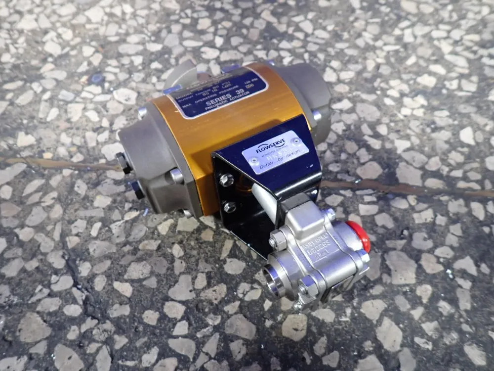 Flowserve Pneumatic Actuator - 10 39 Sn