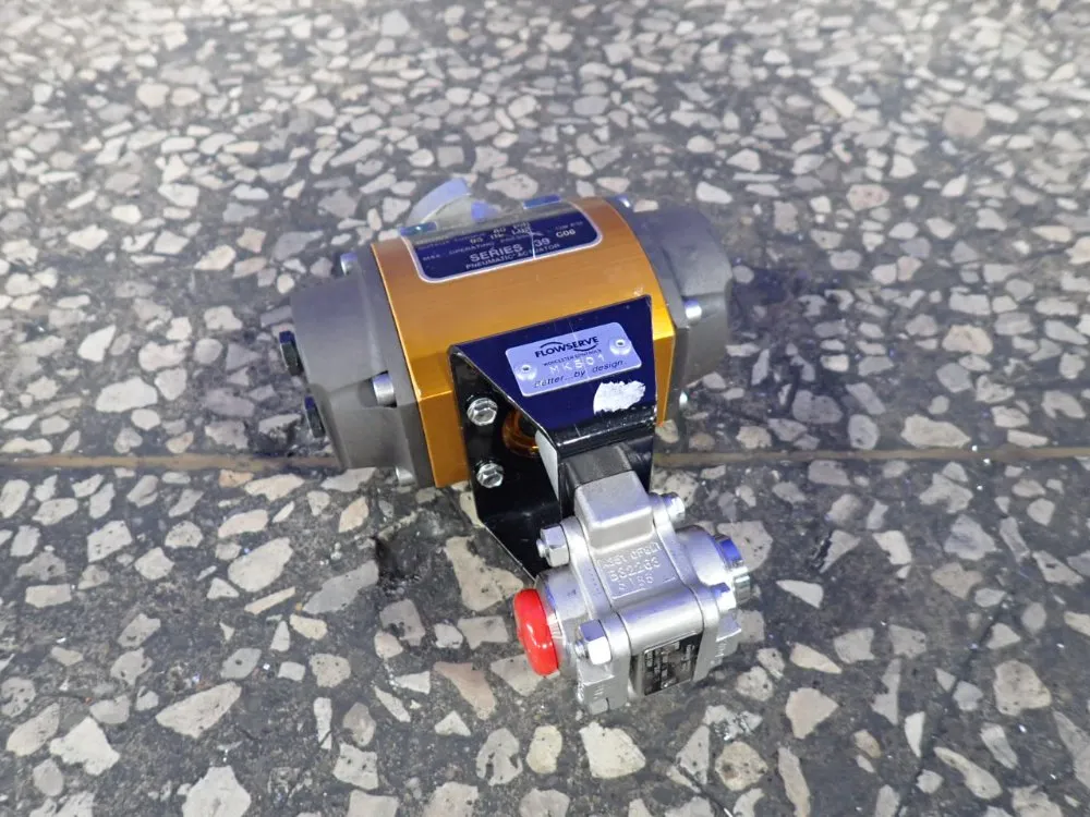Flowserve Pneumatic Actuator - 10 39 Sn