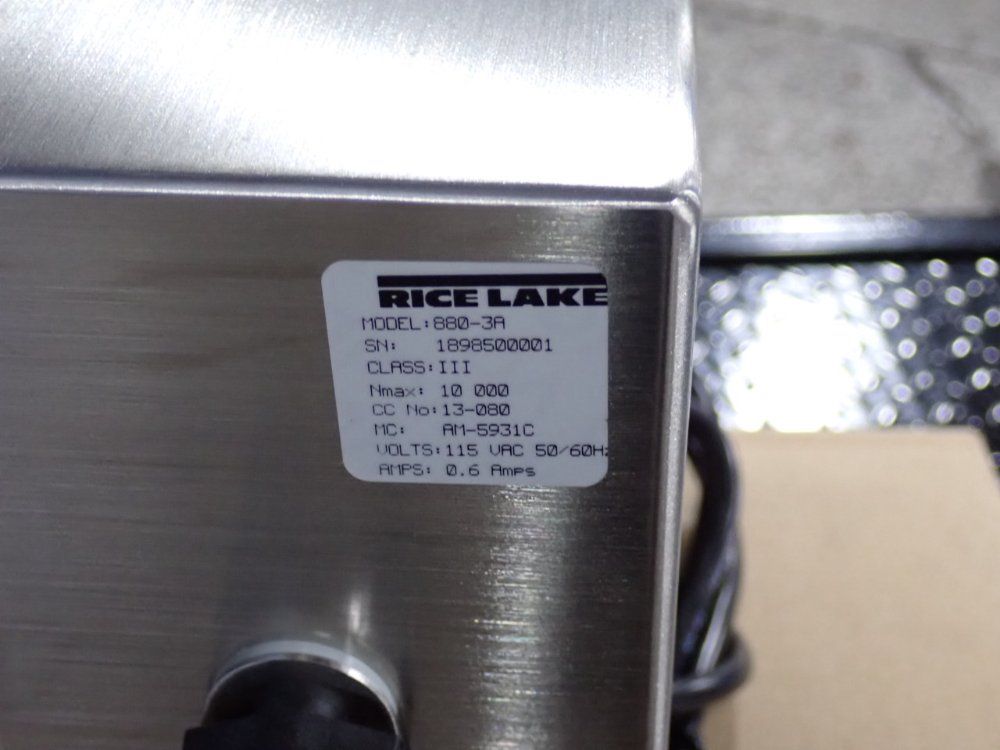 Rice Lake 5000 Lbs Scale - 4x4hp-5k