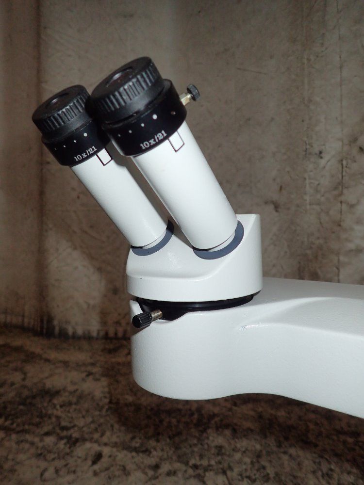 Wild Heerbrugg Microscope