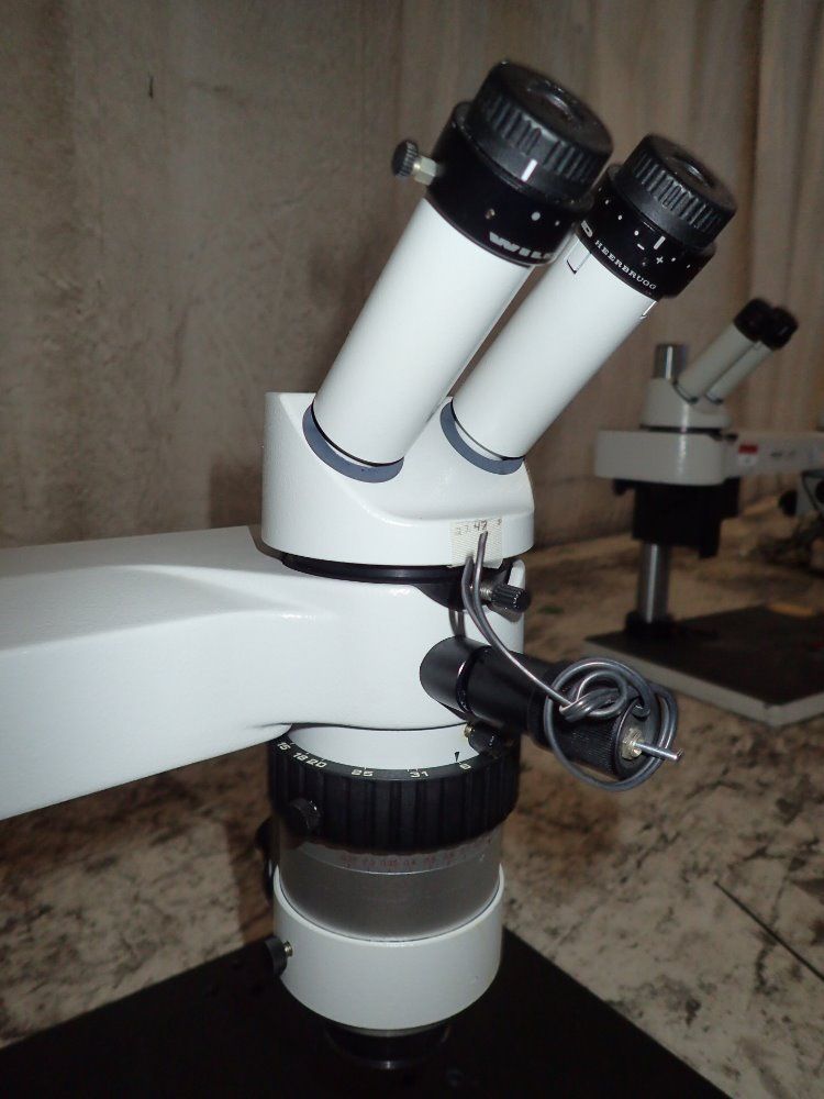 Wild Heerbrugg Microscope