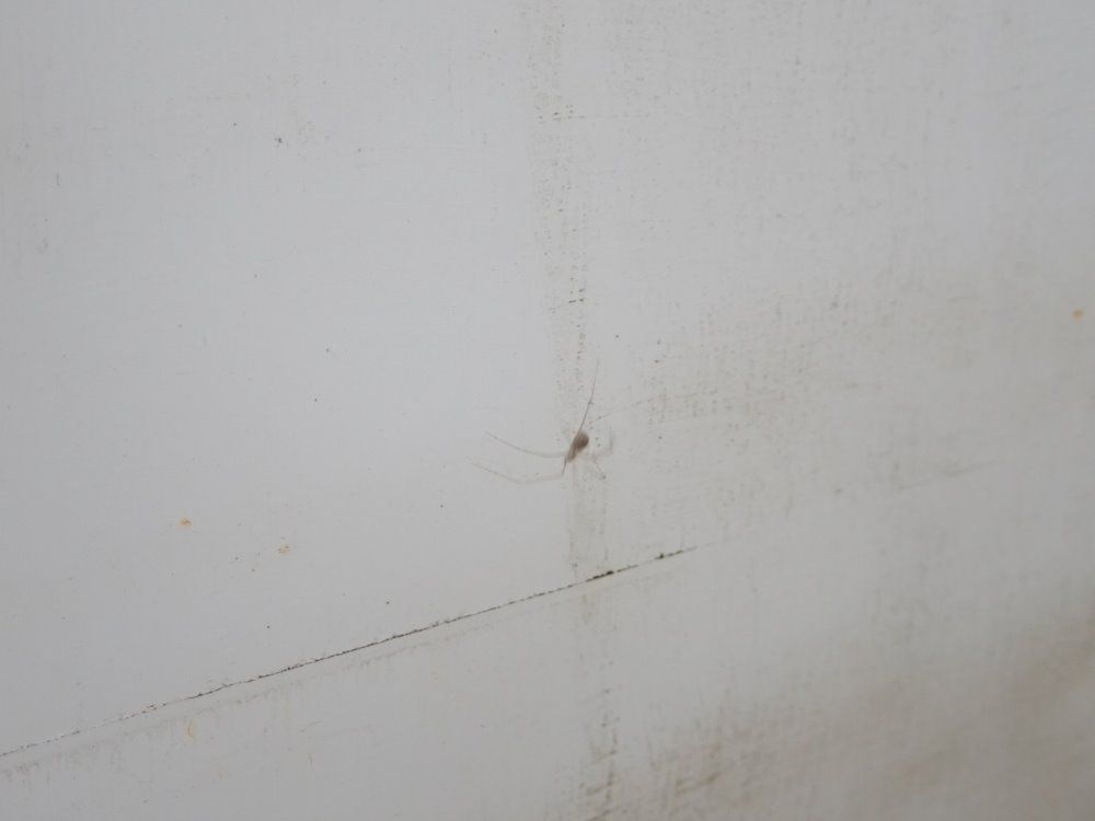 Boyds Equipment Tank