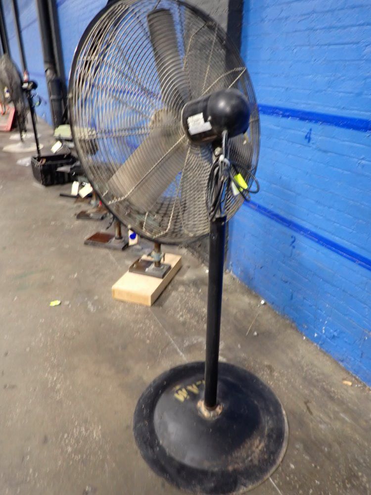 Lakewood Pedestal Fan