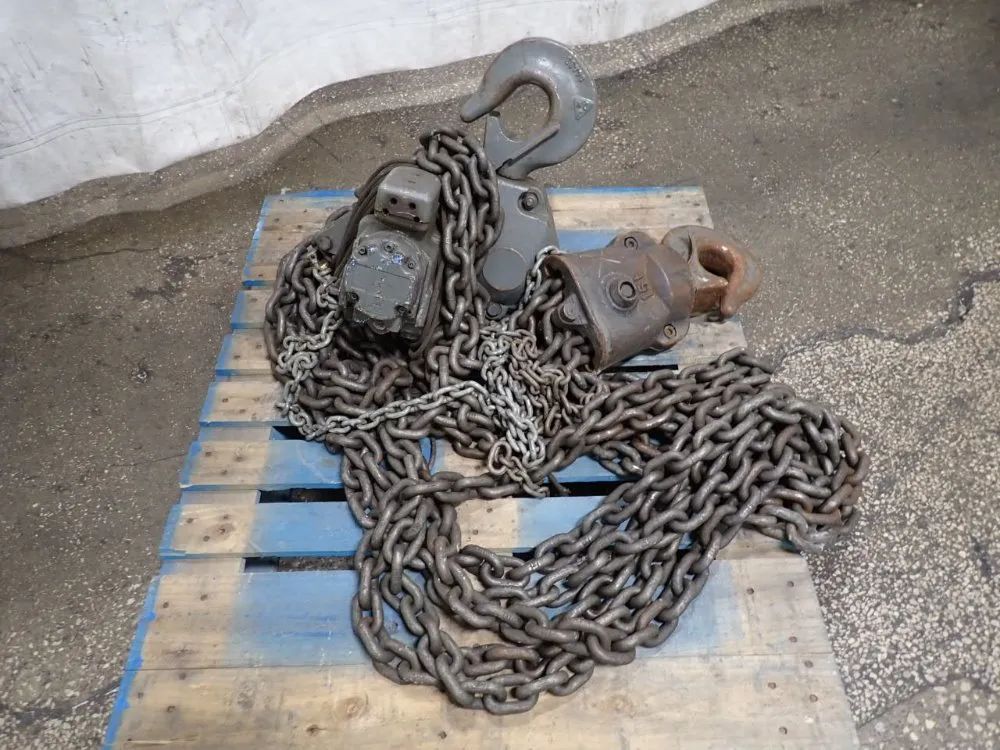 J.d Neuhaus 15 Ton Chain Hoist - Profi15t1