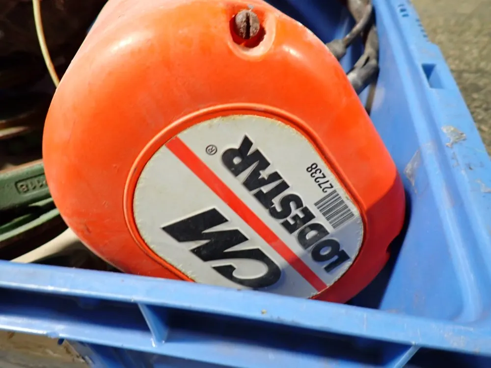 Cm 1/4 Ton Electric Hoist - B