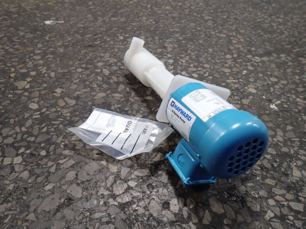 Hayward 1/8 Hp Pump - 1913007400