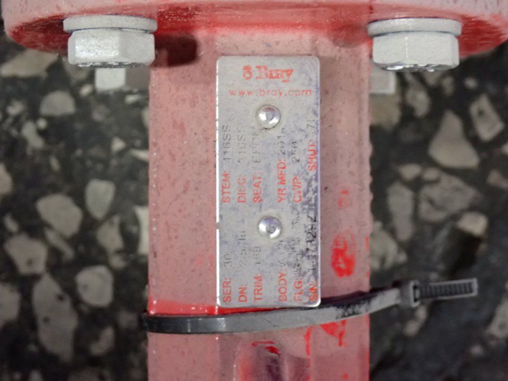 Bray 2 1/2" Butterfly Valve