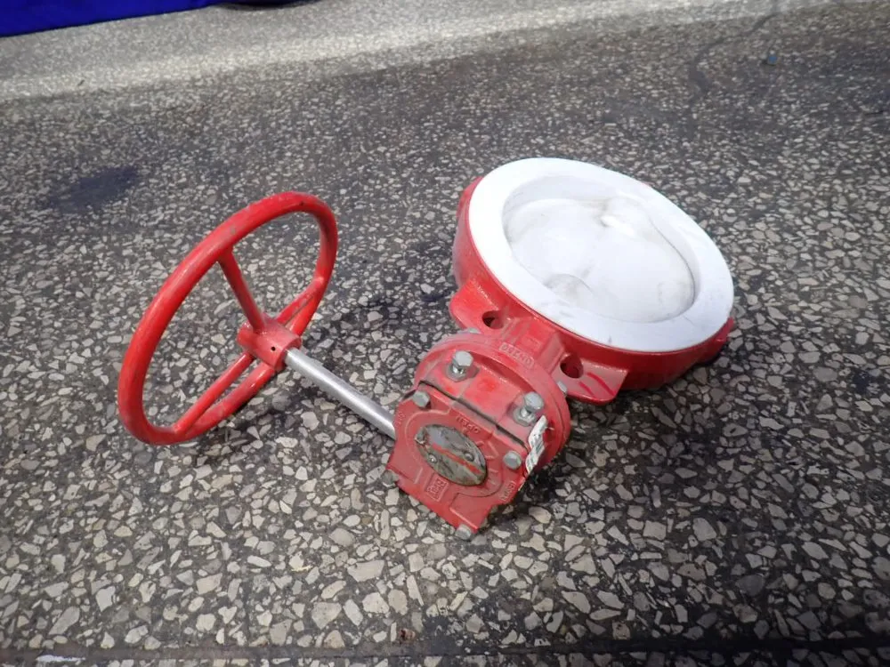 Bray 10" Butterfly Valve