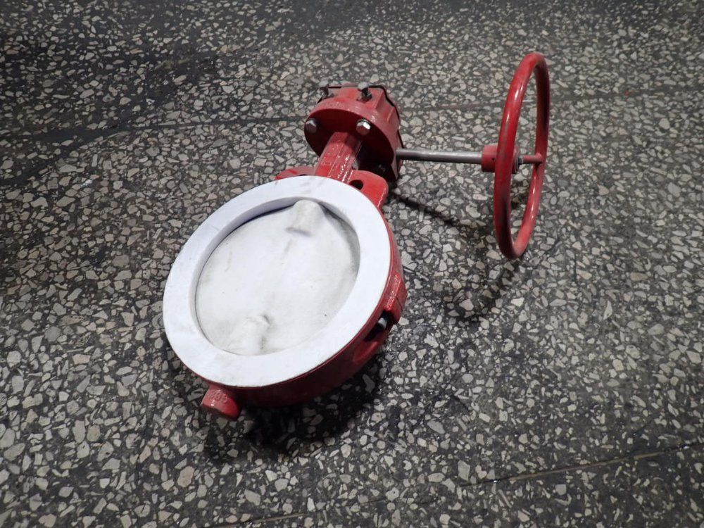 Bray 10" Butterfly Valve