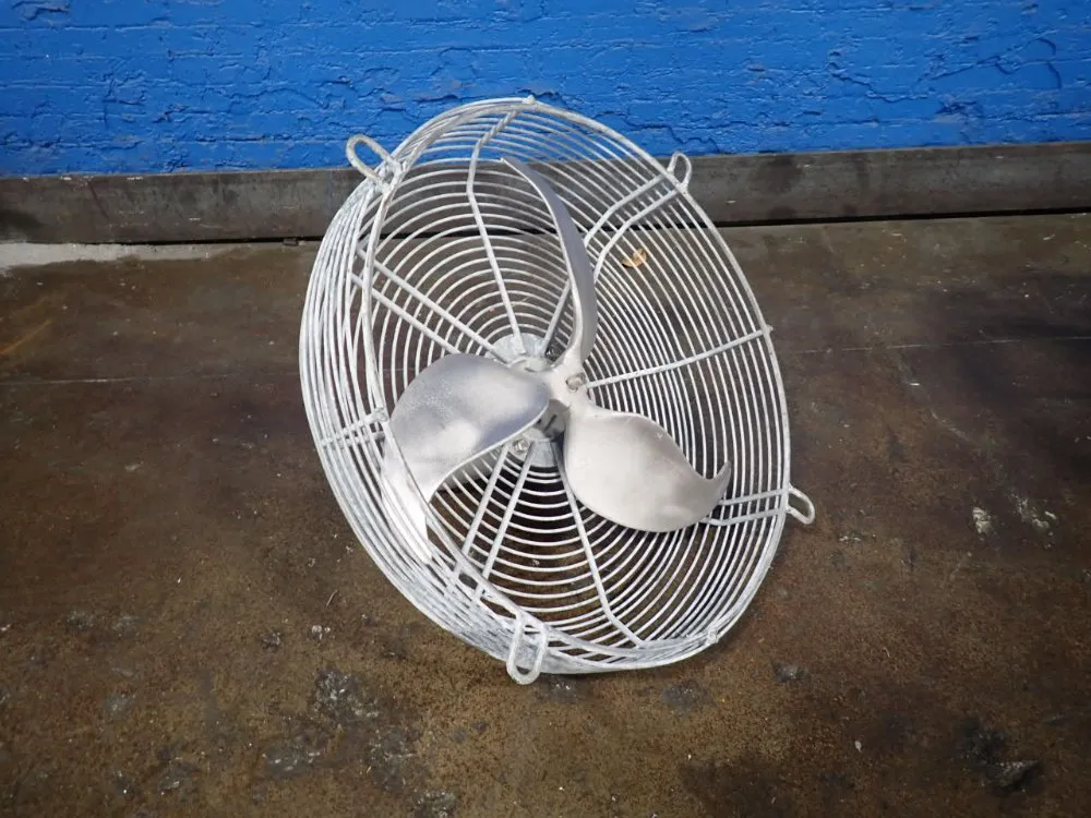 FAN