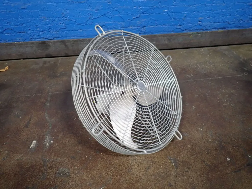 FAN