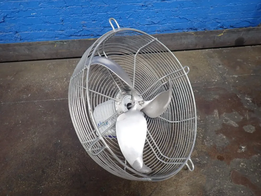 FAN