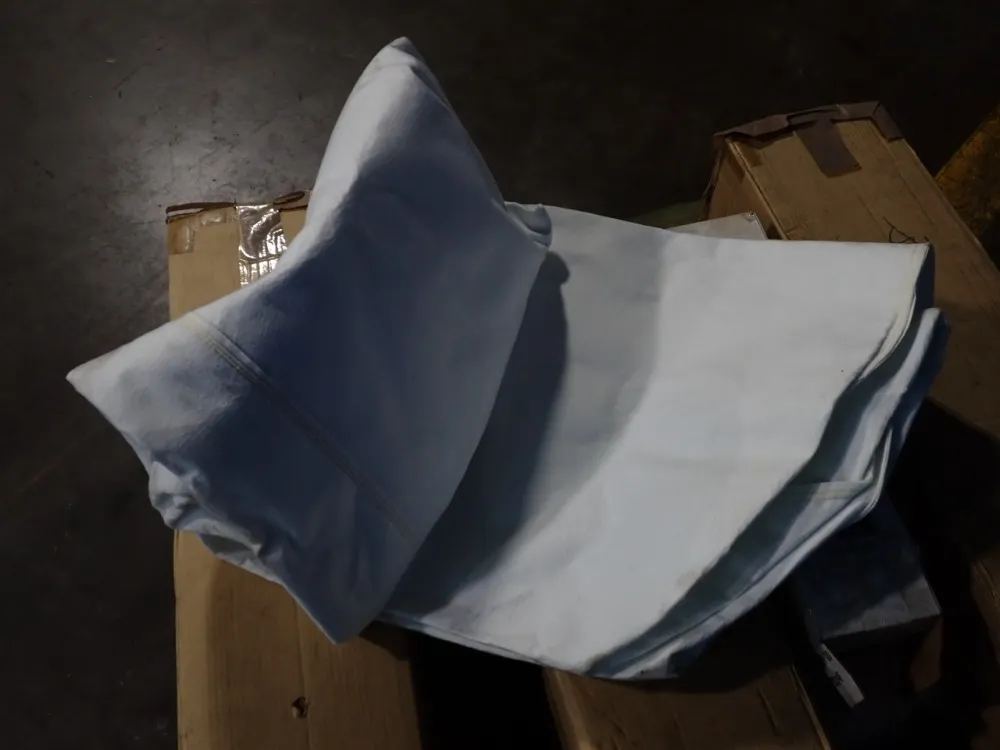 Pentair Filter Cartridge, Air Filter - Ep-20bb