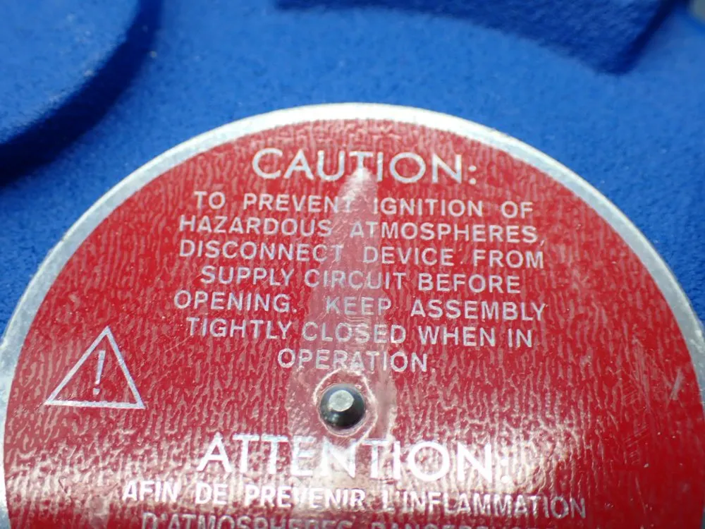 Magnetrol Side Mounted Float Switch - T31-002n-b1a